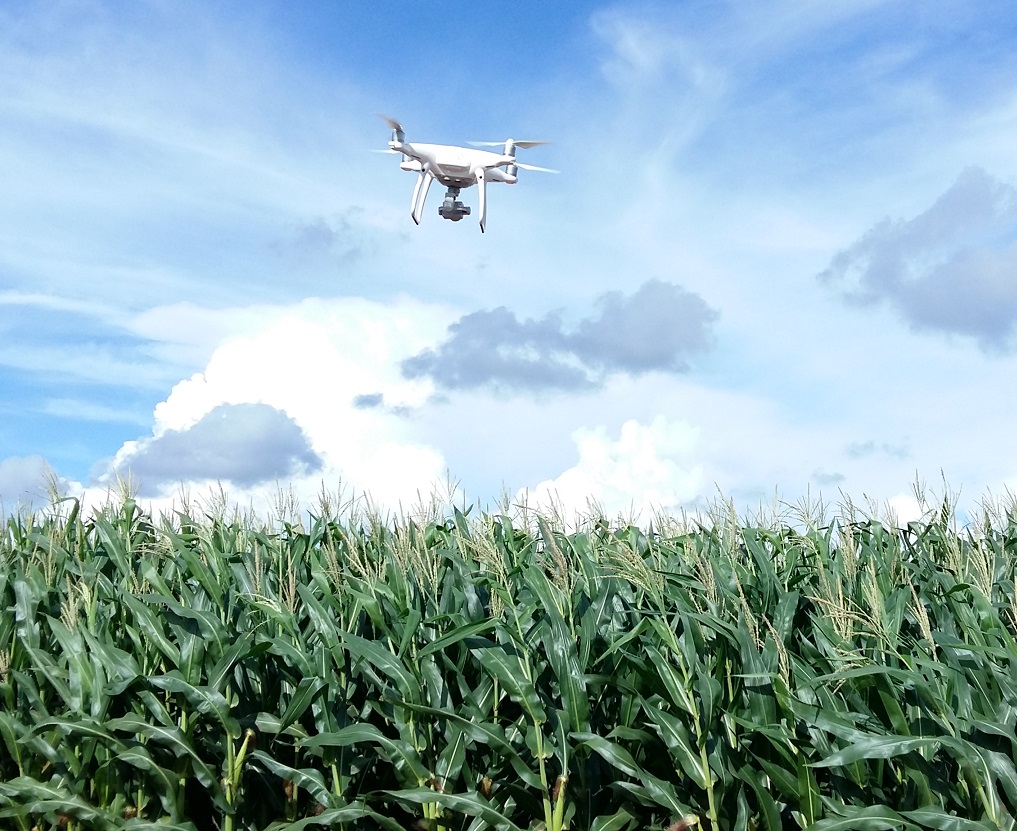 Drones na agricultura